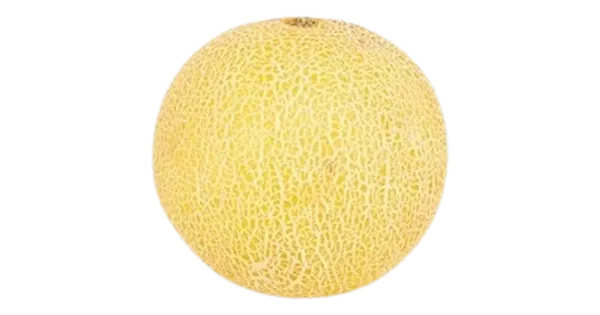 Melon Galia