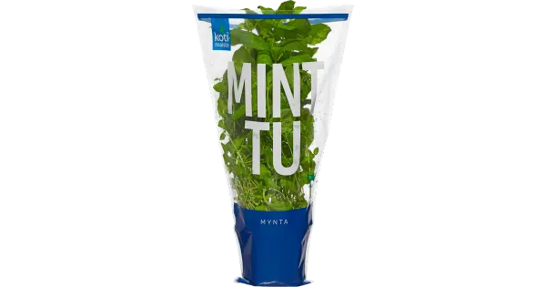 Münt potis Kotimaista