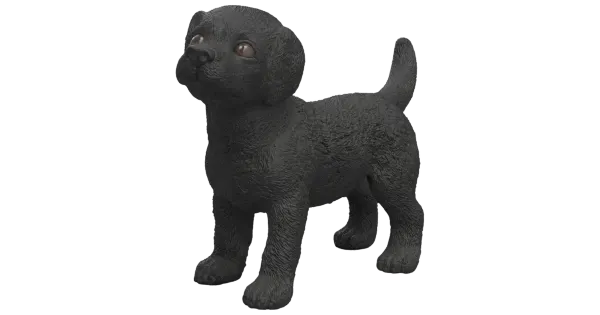 Must labradori retriiveri kutsikas