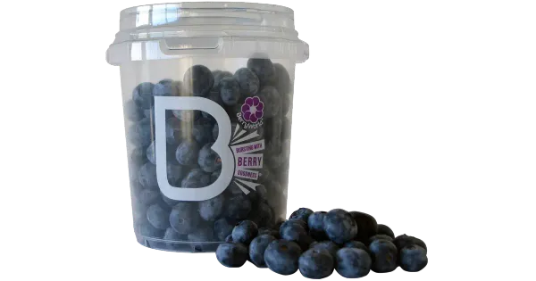 Mustikad 500 g