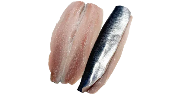 M.V.Wool Heeringafilee Sulatatud
