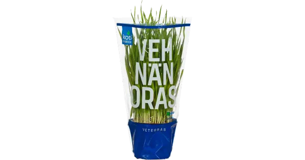 Nisuoras potis Kotimaista