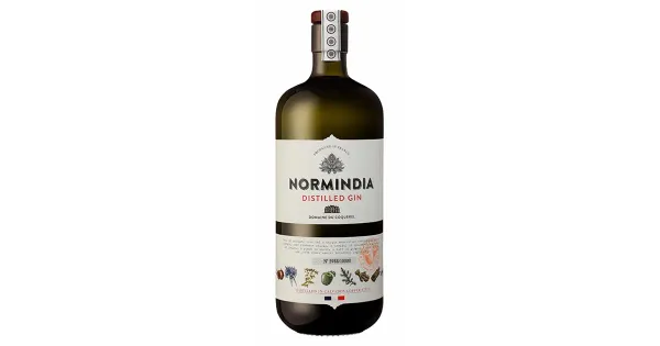 Normindia Gin 41,4%vol 700ml