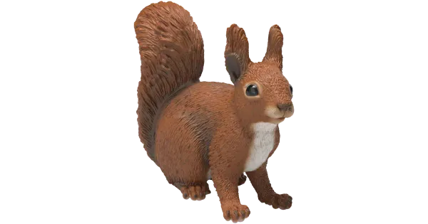 Orav