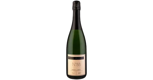Paul G Valentin Cremant de Limoux Blanc Brut Nr. 88 KPN kvaliteetvahuvein 12,5%vol 750 ml