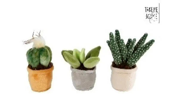 PEHME TAIMEKOMPLEKT 12-17 CM 3 TK