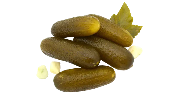 Peipsi hapukurk Germani talu