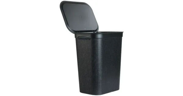 Pesukorv Rotho Brisen 50 l
