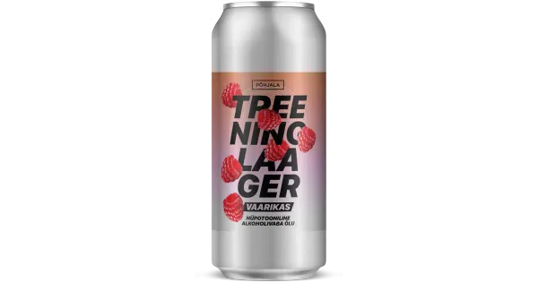Põhjala Treeninglaager Vaarikas 0,5%, alkoholivaba õlu 440 ml