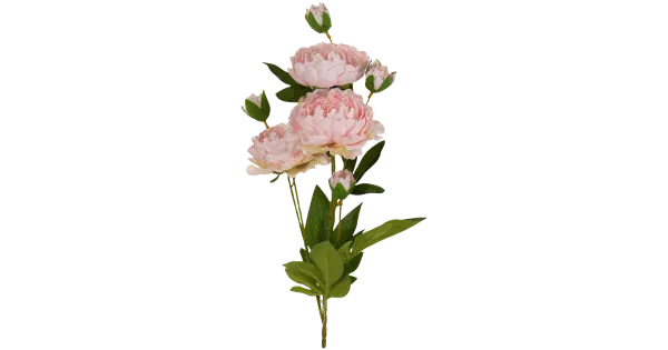 Pojeng roosa 76 cm