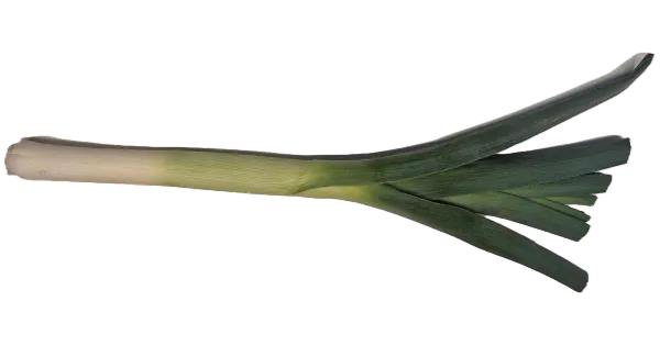 Porru