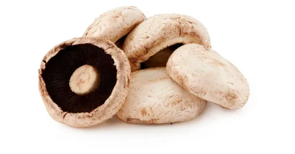 Portabella 300g