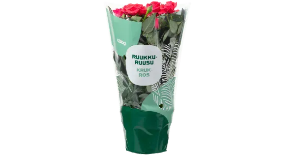 Potiroos 10,5 CM