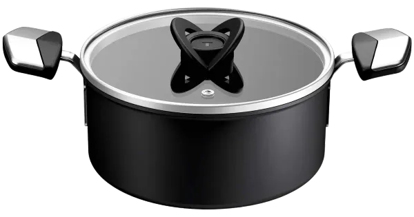 Pott Tefal Excellence 20 cm