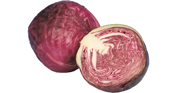 Punane kapsas