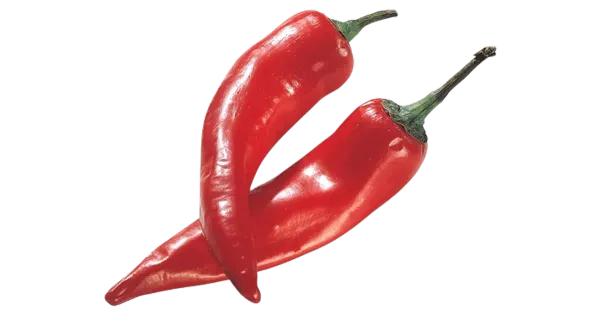 Punane tsilli (medium)