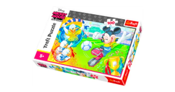 Puzzle 100 osa