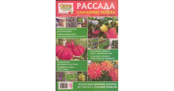 Rassada. Slagaemõje uspeha