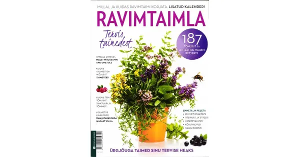 Ravimtaimla