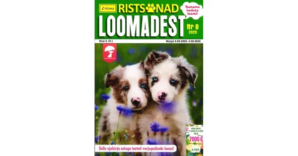 Ristsõnad Loomadest