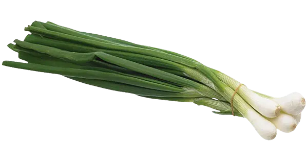 Roheline sibul pakitud 100g