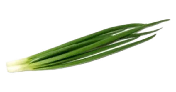 Roheline sibul pakitud