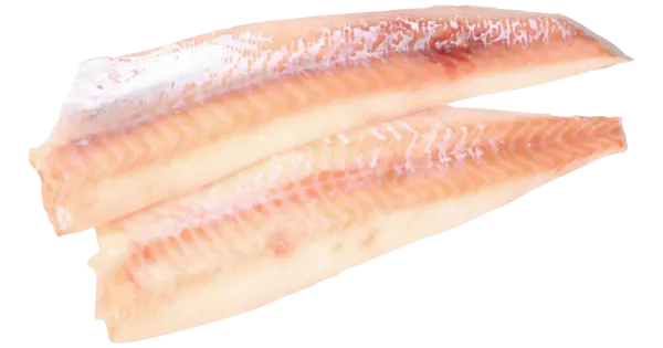 Saida filee nahata, jahutatud, kg