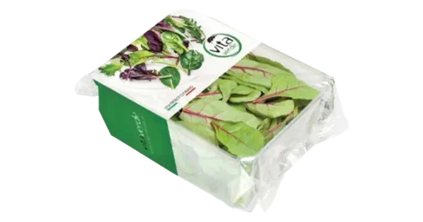 Salat Mangold 100 g