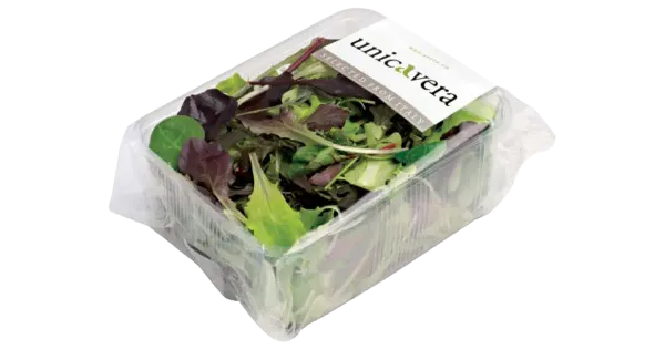 Salat Mesculum 100g