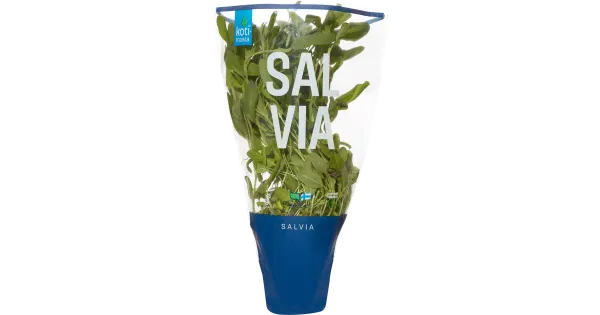 Salvei Kotimaista
