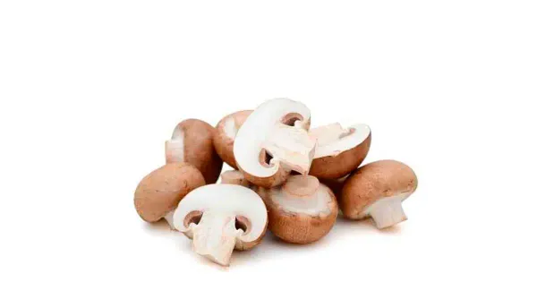 Šampinjon pruun 400g