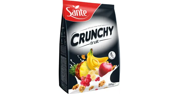 Sante röstitud müsli puuviljadega 350 g