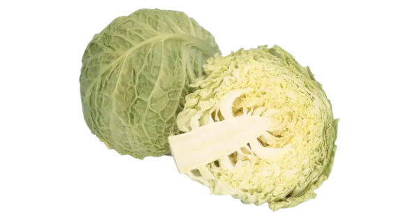 Savoy kapsas