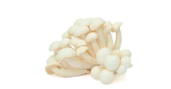 Seen Shimeji valge 150g