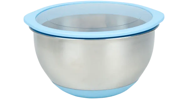 Segamiskauss House 2,8 l kaanega