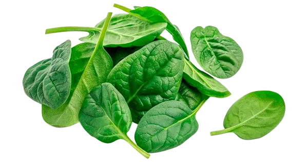 Spinat 100 g MAHE