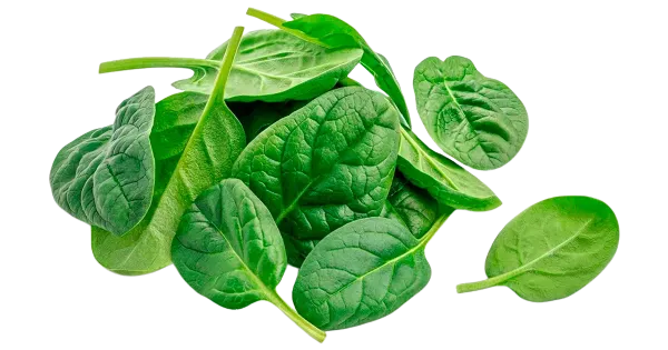 Spinat 150g