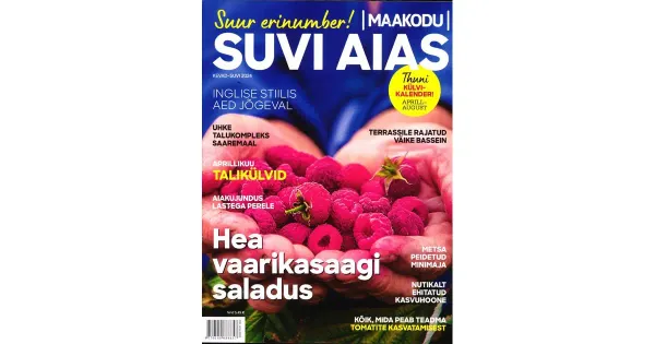 Suvi aias