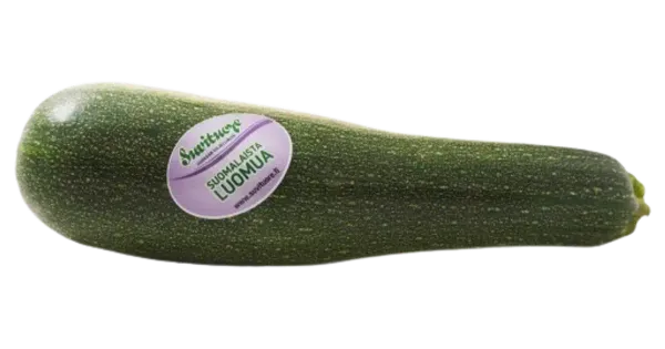 Suvikõrvits MAHE