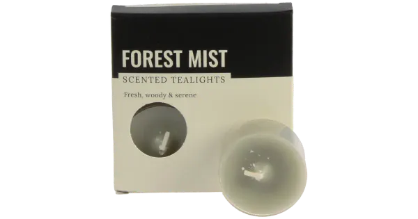 Teeküünal Forest Mist 4tk