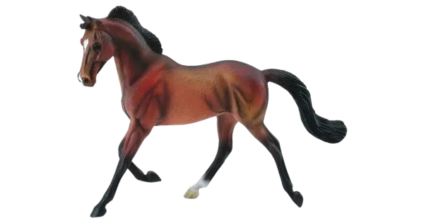 Thorughbred mära