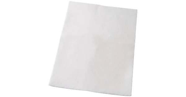 Tolmuimeja filter Electrolux EF55
