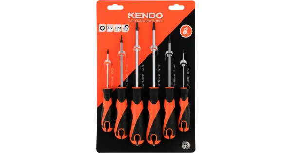 Torx kruvikeeraja  komplekt 6-osa