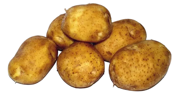 Varajane kartul
