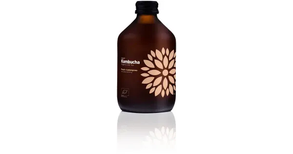 Vigo Kombucha virsiku-sidrunheina 330 ml