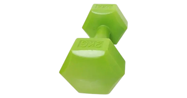 Vinüülhantlid 2 kg 2 tk