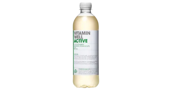 Vitamiin Well Active vitamiinijook 500ml