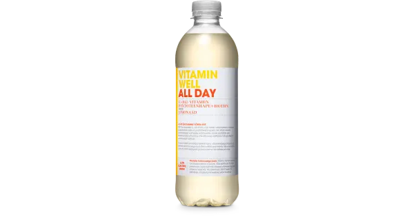 Vitamin Well All Day vitamiinijook 500ml