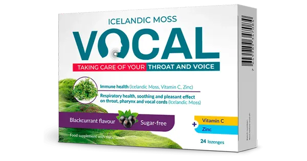 Vocal Blackcurrant imemistabletid 24 tk