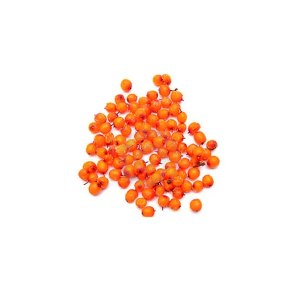 Astelpaju, külmutatud, 2,5kg